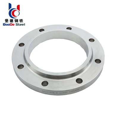 कार्बन स्टील वेल्डिंग प्लेट निकला हुआ किनारा